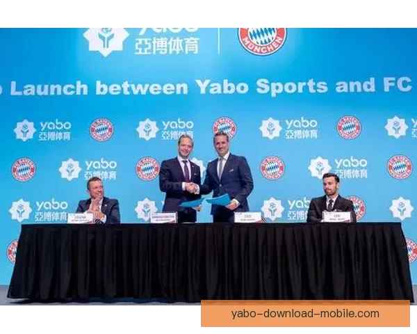 亚博体育平台使用安全吗全面解析与风险防范指南 亚博体育平台使用安全吗全面解析与风险防范指南