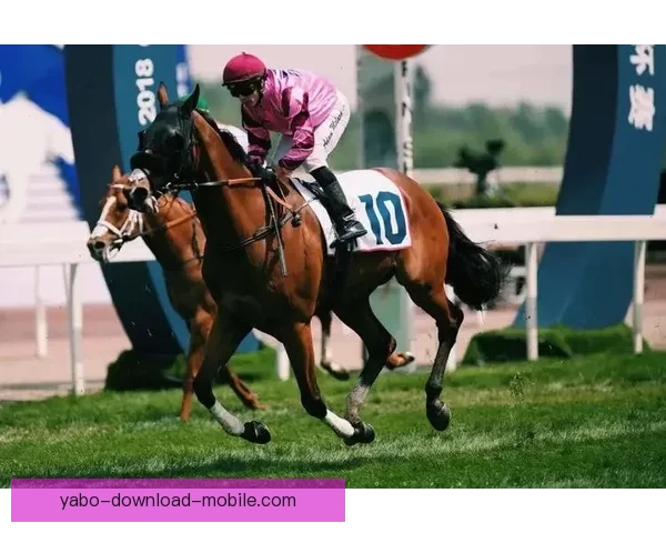 足球竞猜赔率分析与投注策略全解析助您精准预测比赛结果