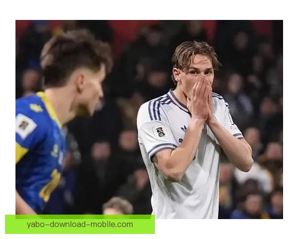 心理专家：国米未进世界杯球员可能自责 需专业辅导帮助走出困境