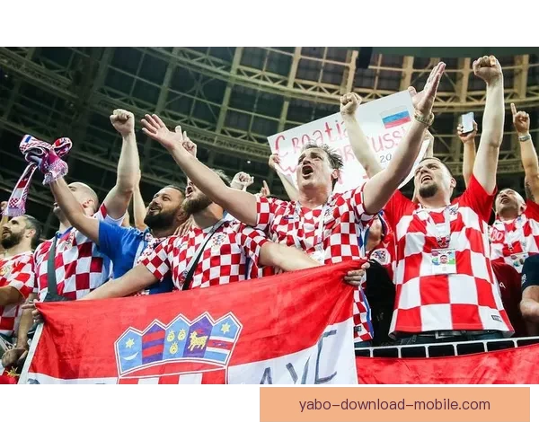 世界杯赛事竞猜预测分析尽在掌握带你精准预判每场精彩对决结果